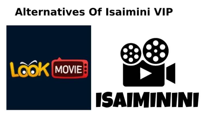 Top 3 Alternatives Of Isaimini VIP