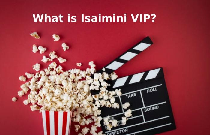 What is Isaimini VIP